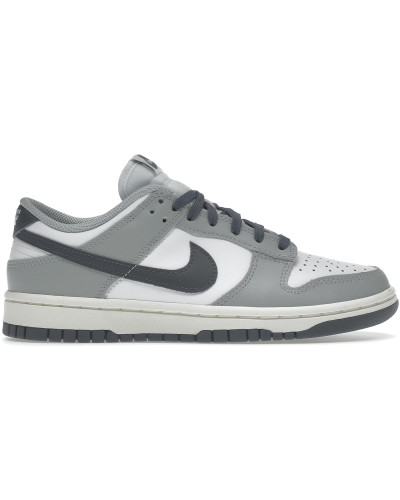 Nike Dunk Low Light Smoke Grey (Women's)